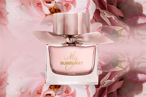 น ำหอม my burberry blush ร ว ว|my burberry blush.